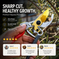 🔥50% RABATT NU! ✂️Grenklippare – skarp & stark för trädgårdens grenar ✨