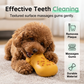 Squeaky Silicone Slipper Dog Chew Toy