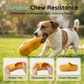🦴 Biter din hund på allt? Ge den något roligare att tugga på 🐶🔊