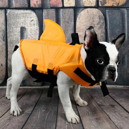 🔥 Låt hunden njuta av vattnet tryggare – justerbar hajformad flytväst för bad, båt och strand 🦈