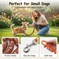 🌭 Gör hundpromenaden roligare – slitstarkt korvformat hundkoppel för små och medelstora hundar 🐕