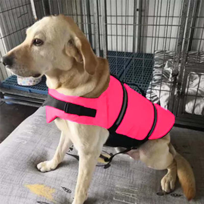 🔥 50 % RABATT! 🐶 Hundflytväst – låt din fyrbenta vän njuta av en trygg och rolig sommar vid vattnet 🌊☀️