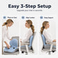 Ergonomic Memory Foam Seat Cushion with Back Support