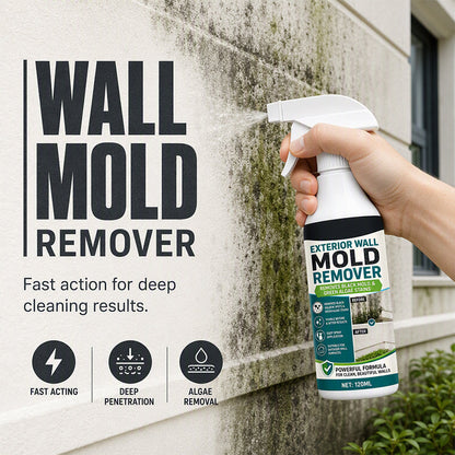 🧼 Bli av med svartmögel snabbt – effektiv väggspray som rengör mögelfläckar och missfärgningar