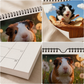 Bedårande marsvinsväggkalender