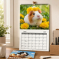 🐹 Ett helt år med söta marsvin – charmig väggkalender