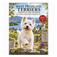 🐶 50 % RABATT! Ett helt år med söta Westies – väggkalender 2027 med West Highland White Terrier