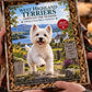🐶 50 % RABATT! Ett helt år med söta Westies – väggkalender 2027 med West Highland White Terrier