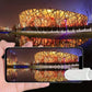 Mobile Phone Inverted Image Photography Clip